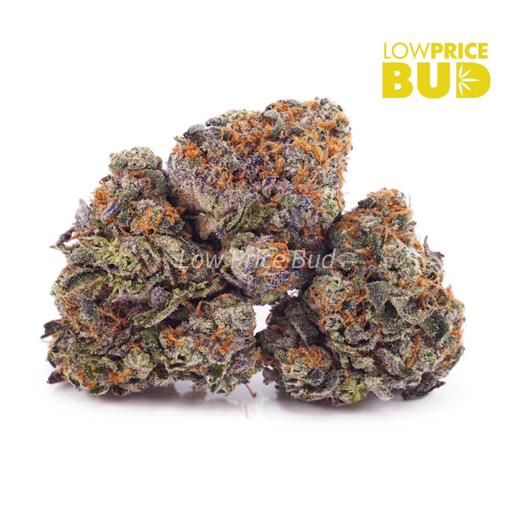 Buy Grape Kush (AAAA) online Canada