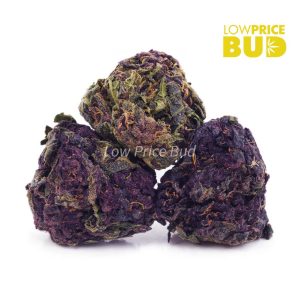 Purple Trainwreck (AA) Buy Purple Trainwreck (AA) online Canada