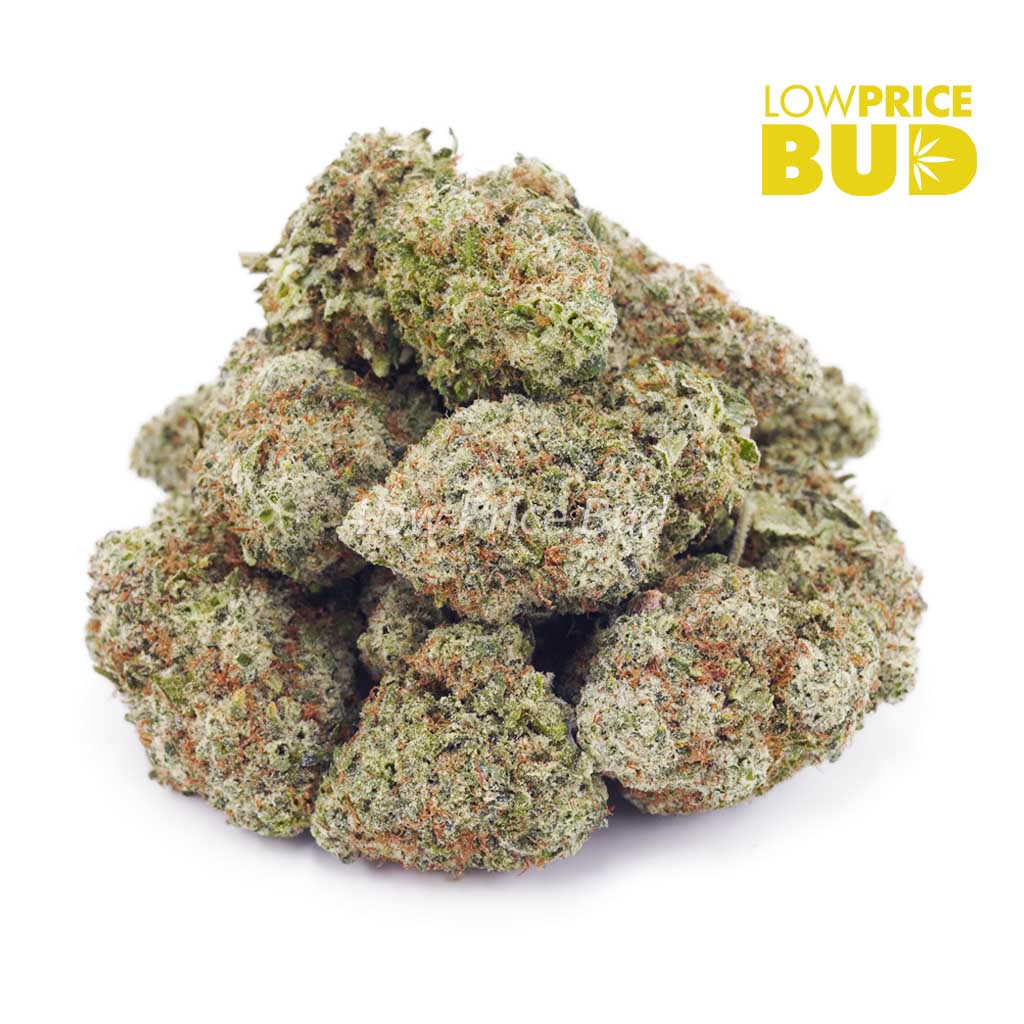 Blueberry Trainwreck (AAA) Buy Blueberry Trainwreck (AAA) online Canada