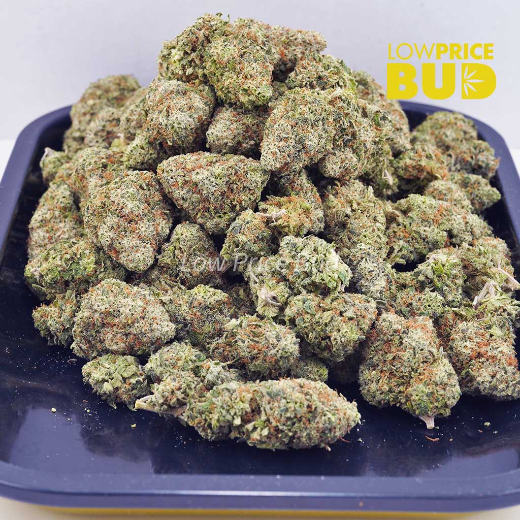 Blueberry Trainwreck (AAA) Buy Blueberry Trainwreck (AAA) online Canada