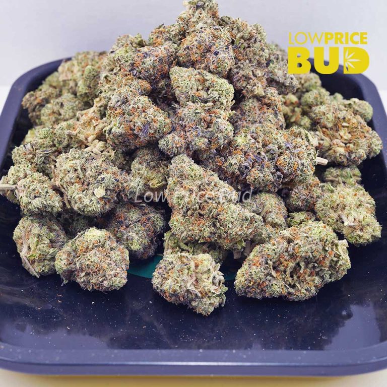 Jet Fuel OG (AAAA) Low Price Bud