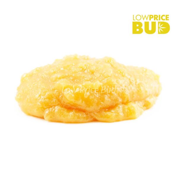 Buy Live Resin – Girl Scout Cookies online Canada