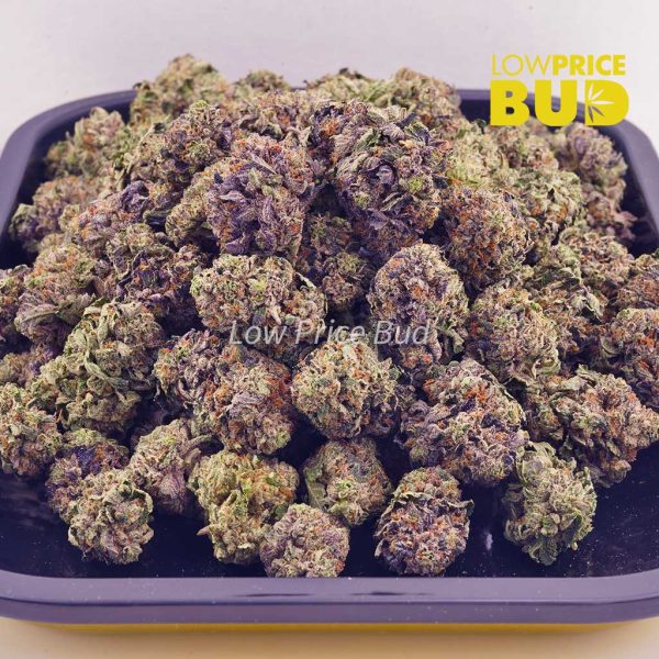Buy Pink Rob Ford (Craft Cannabis) online Canada