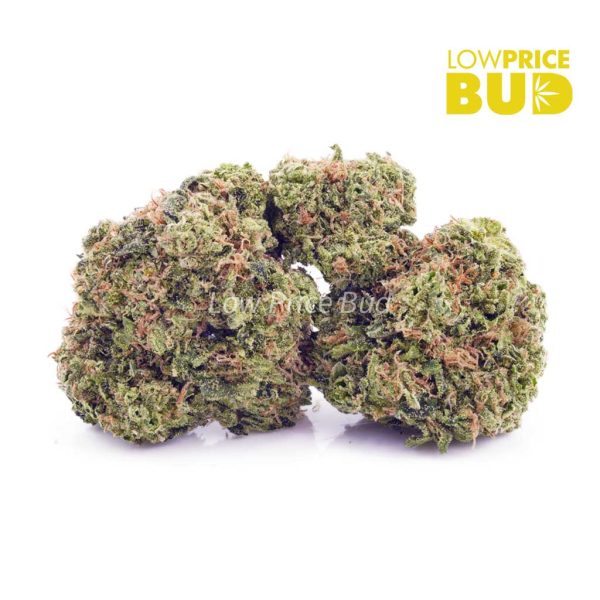 Buy Blueberry Icewreck (AAA) online Canada
