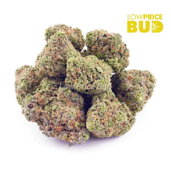 Buy Blueberry Icewreck (AAA) online Canada
