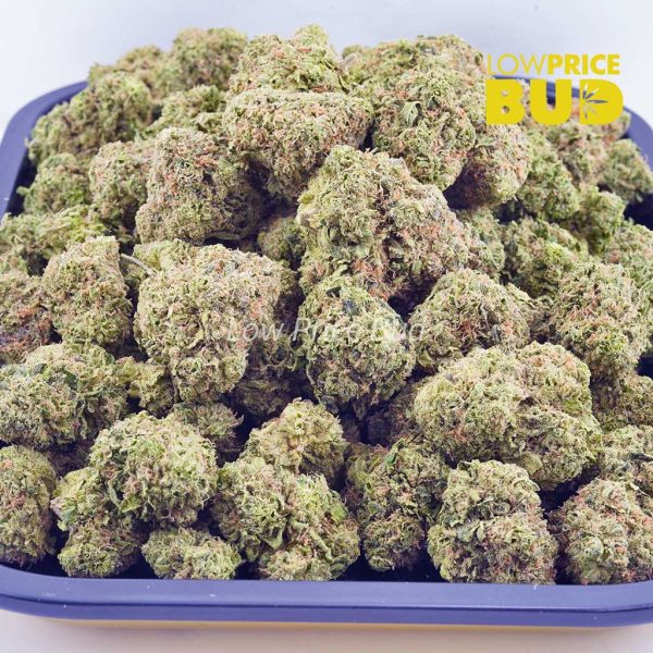 Buy Blueberry Icewreck (AAA) online Canada