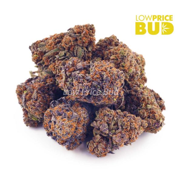Buy Purple Kush (AAAA) online Canada
