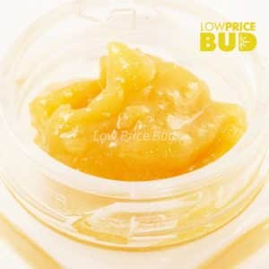 Buy Caviar – Pink Lemonade online Canada