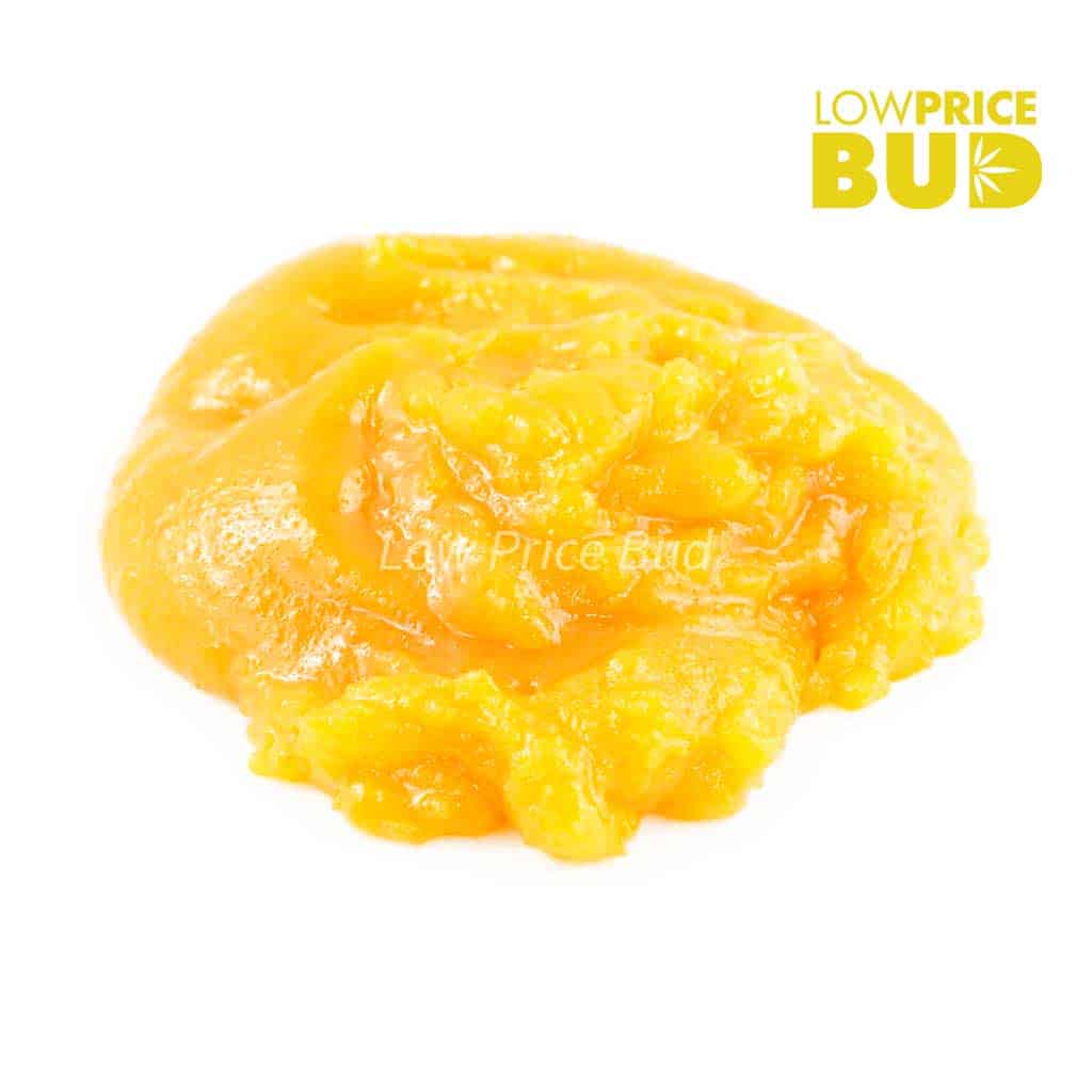 Caviar – Pink Goo Buy Caviar – Pink Goo online Canada