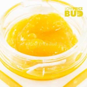 Buy Caviar – Pink Goo online Canada