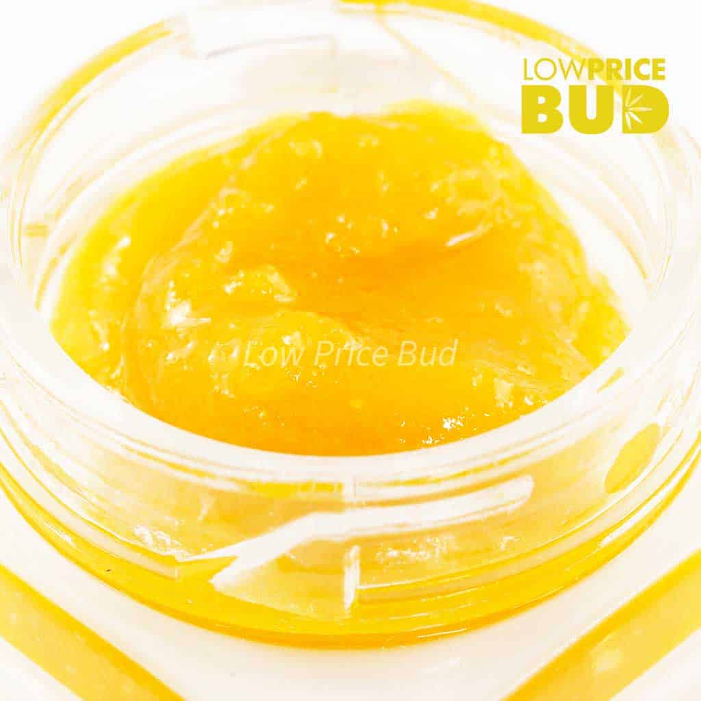 Caviar – Pink Goo Buy Caviar – Pink Goo online Canada