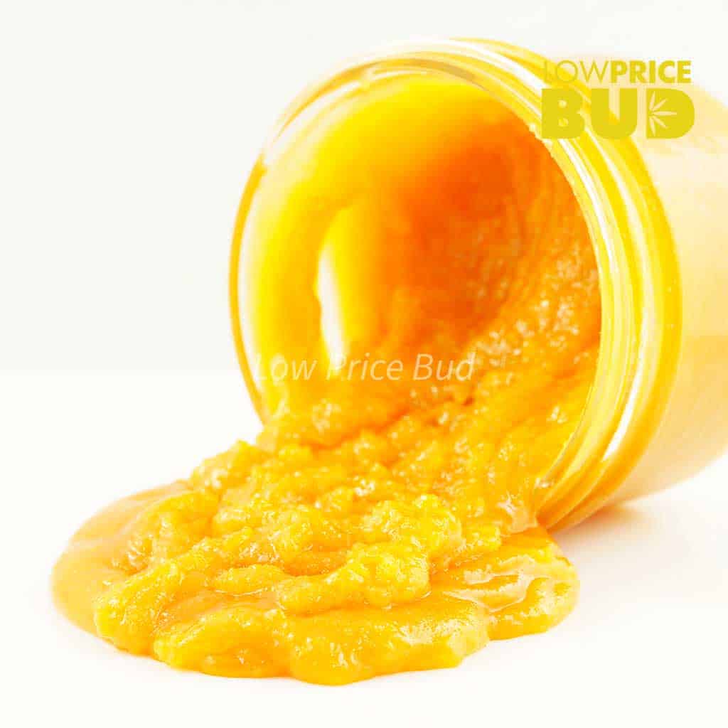 Caviar – Pink Goo Buy Caviar – Pink Goo online Canada