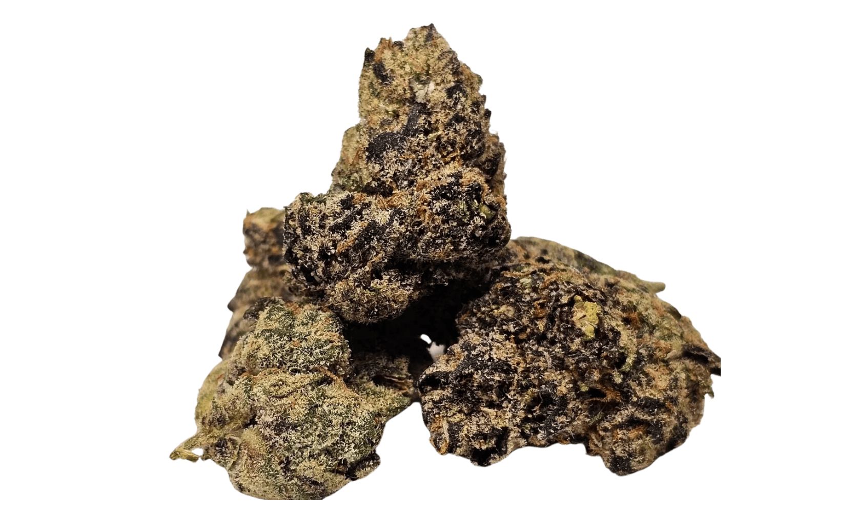 The Gelato 33 strain is one of the most popular cannabis buds among enthusiasts in Canada.