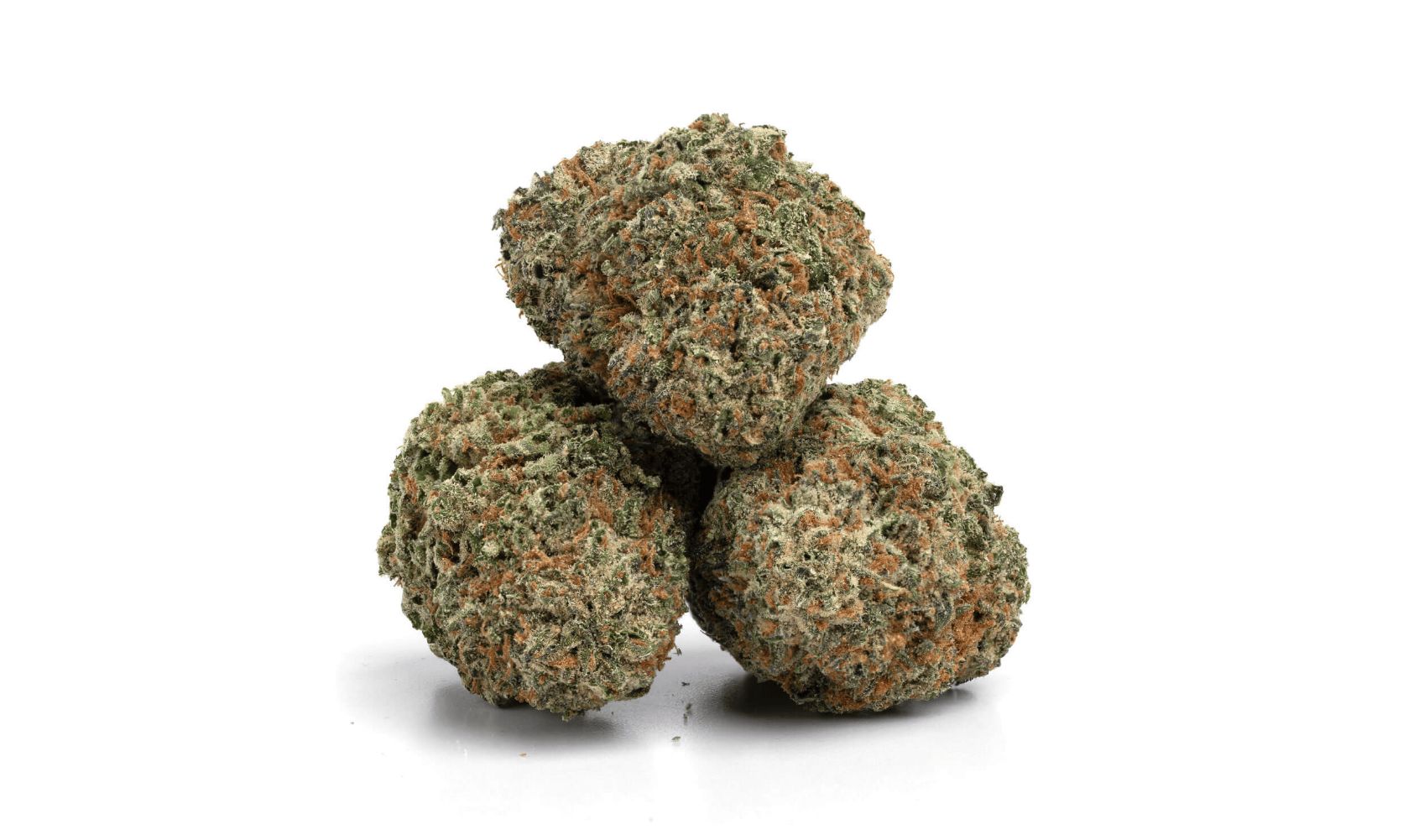 Bad boy of the canna-land El Chapo Strain will invade your mind. You’ll be left speechless, happy, and satiated. Order online today, experience awaits!