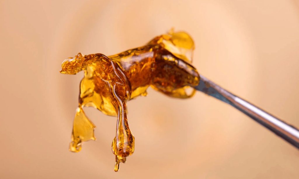 These must-know facts about weed shatter will leave you speechless! Find out how to dab shatter and the effects in store for you! Click here for more.