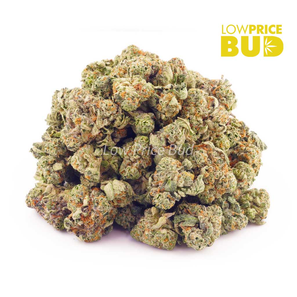 Blackberry Haze (AAAA) – Popcorn Nugs Buy Blackberry Haze (AAAA) – Popcorn Nugs online Canada