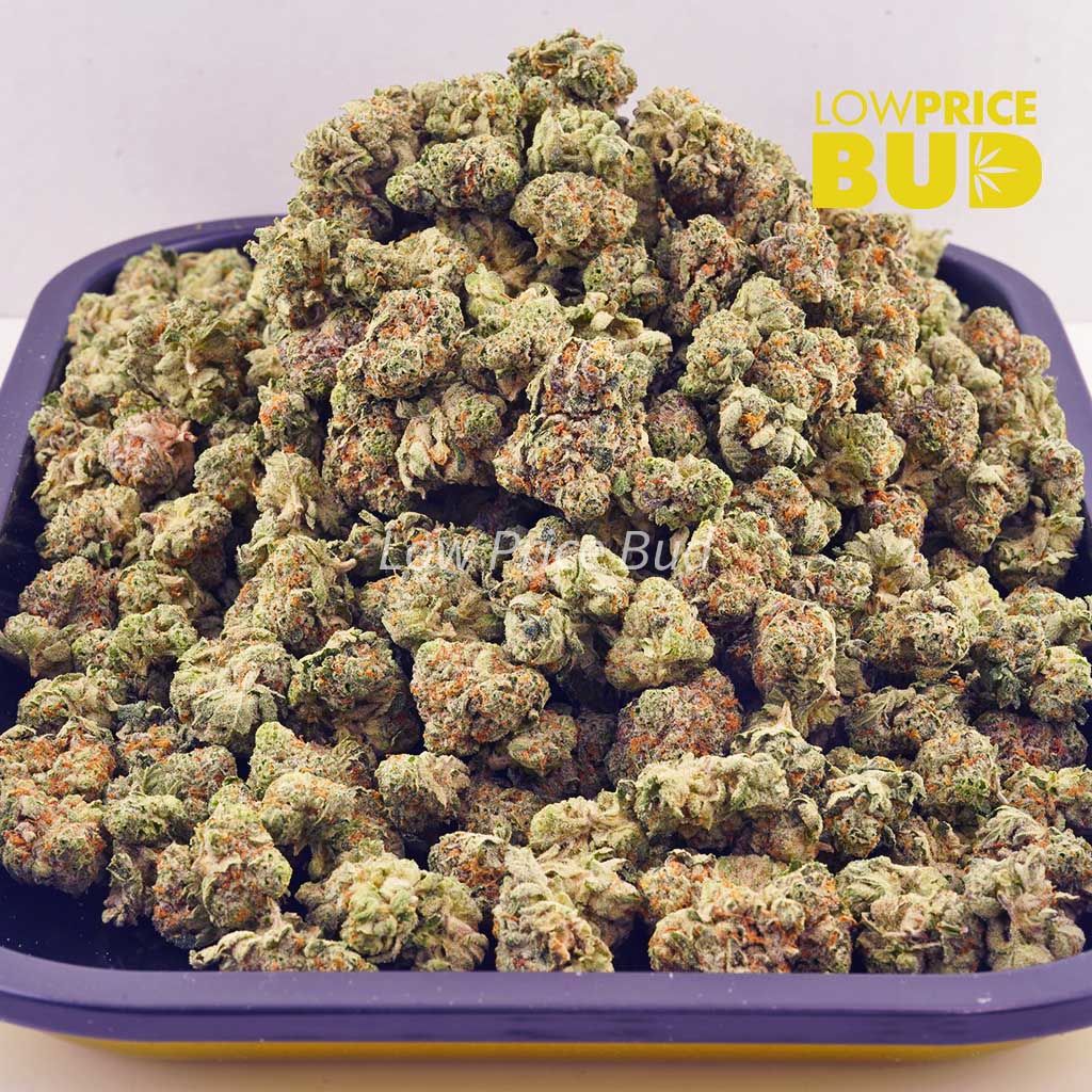 Blackberry Haze (AAAA) – Popcorn Nugs Buy Blackberry Haze (AAAA) – Popcorn Nugs online Canada