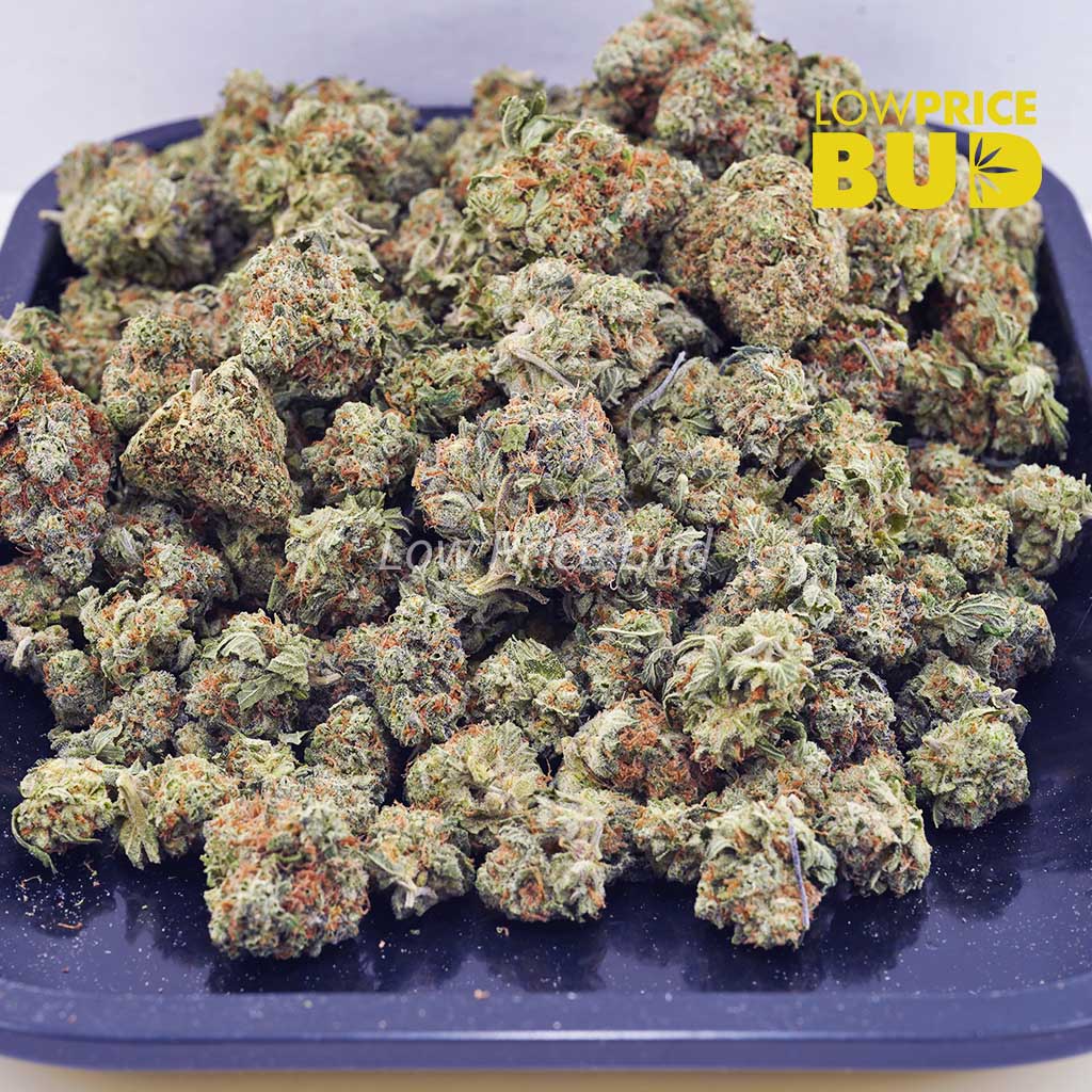 Passionfruit Kush (AAA) Buy Passionfruit Kush (AAA) online Canada