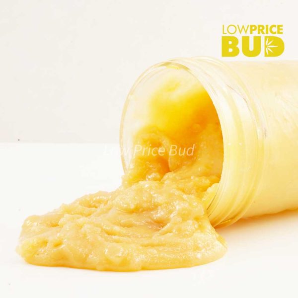 Buy Caviar – Tropical Punch online Canada