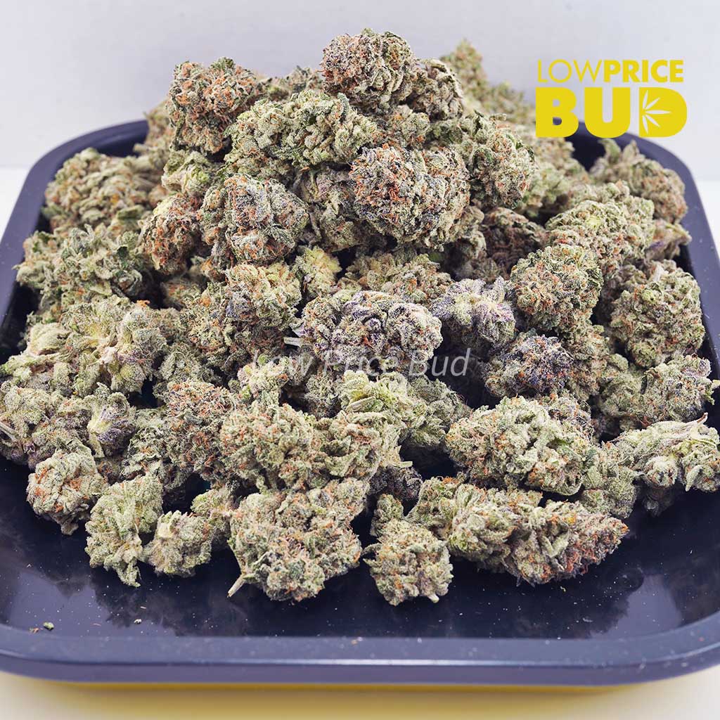 Garlic Breath (AAA) Buy Garlic Breath (AAA) online Canada