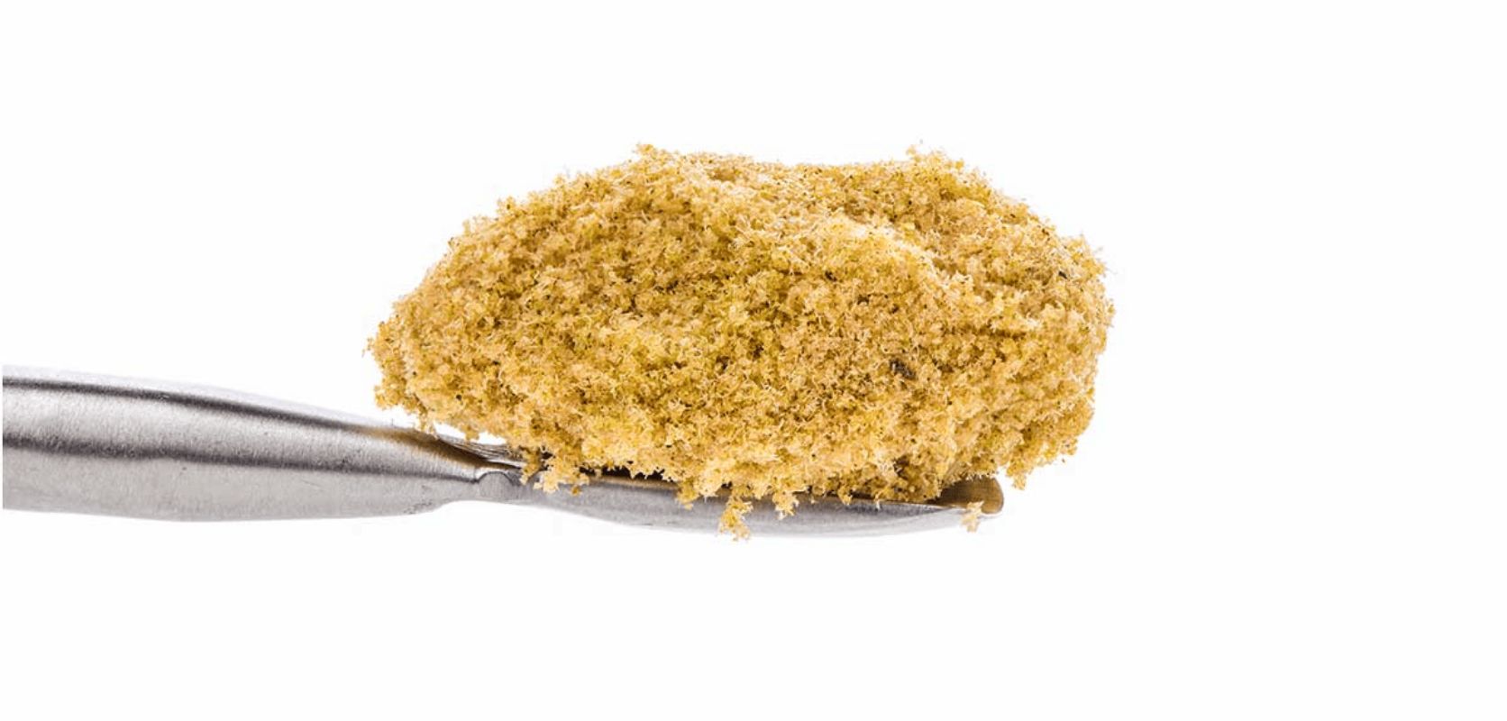 Well, there you have it, my fabulous friends! I hope you enjoyed our dive into the world of kief weed. And all about its THC potency and CBD bliss. what is kief weed