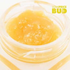 Caviar – Supreme Death Bubba Buy Caviar – Supreme Death Bubba online Canada