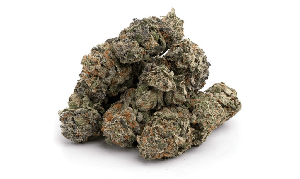 Discover the potent effects and unique flavours of the Master Kush strain. Read our expert review and find where to buy for its legendary relaxation and euphoria.