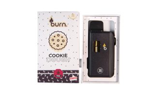 Burn Extracts – Cookie Dough 3ml Mega Sized Disposable Pen Buy Burn Extracts – Cookie Dough 3ml Mega Sized Disposable Pen online Canada