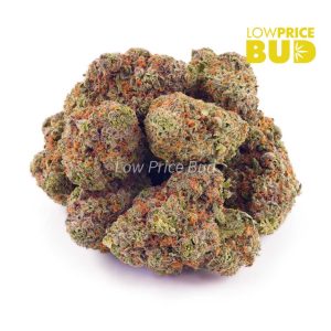 Nirvana (AAA) Buy Nirvana (AAA) online Canada
