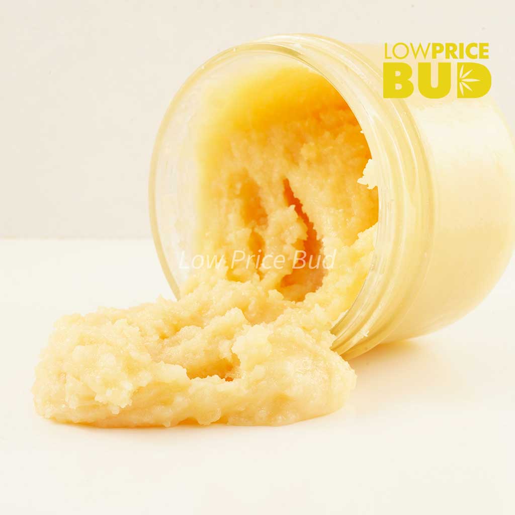 Caviar – Pink Rob Ford Buy Caviar – Pink Rob Ford online Canada