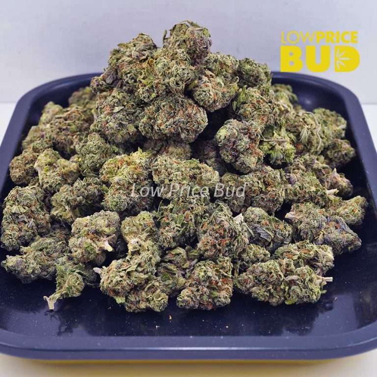 Fruit Loopz (AA) Low Price Bud