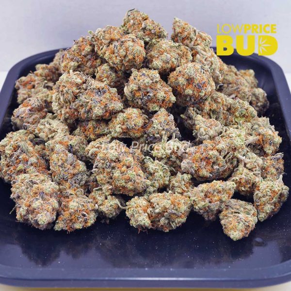 Buy Double OG (AAAA) online Canada