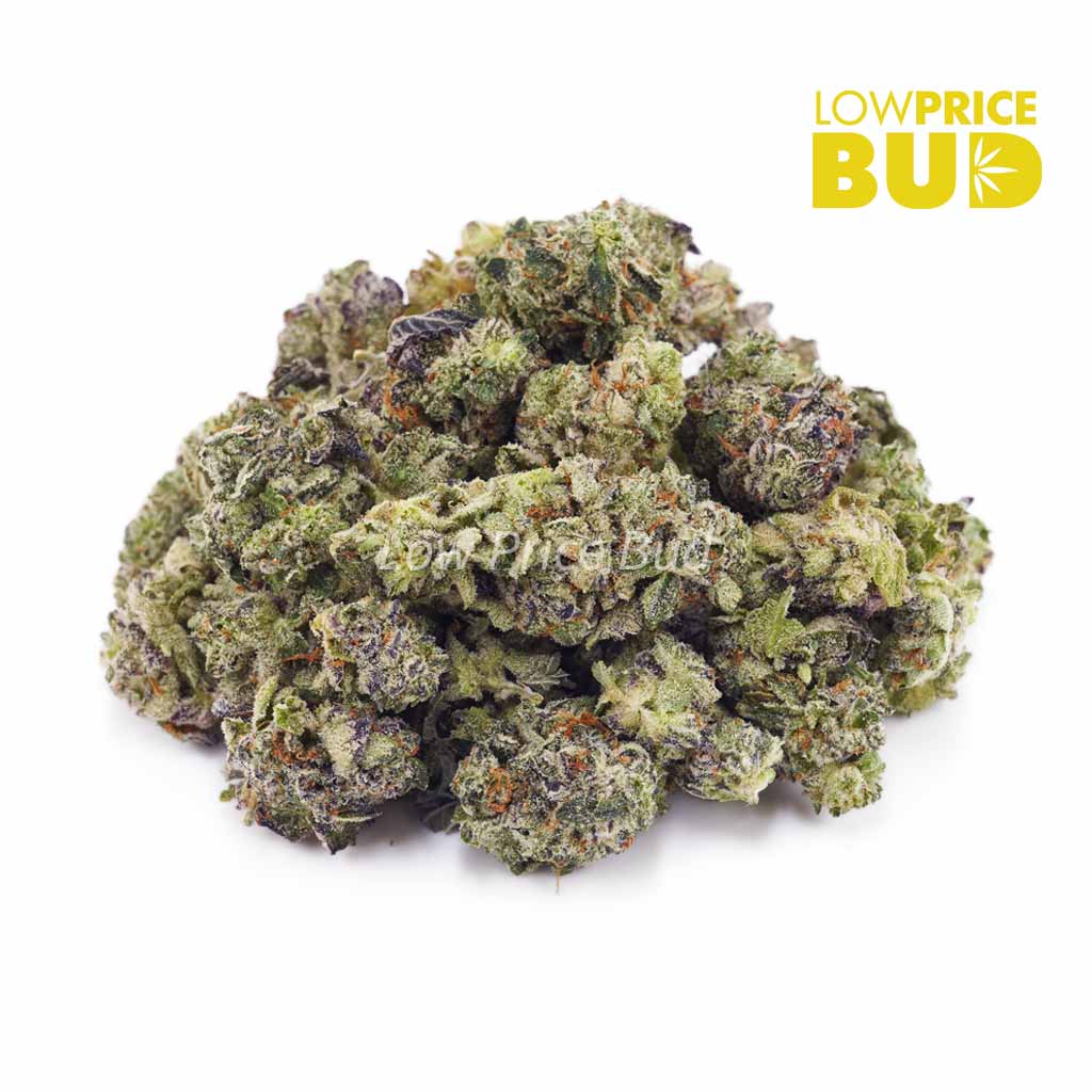 Truffle Butter (AAAA) – Popcorn Nugs Buy Truffle Butter (AAAA) – Popcorn Nugs online Canada