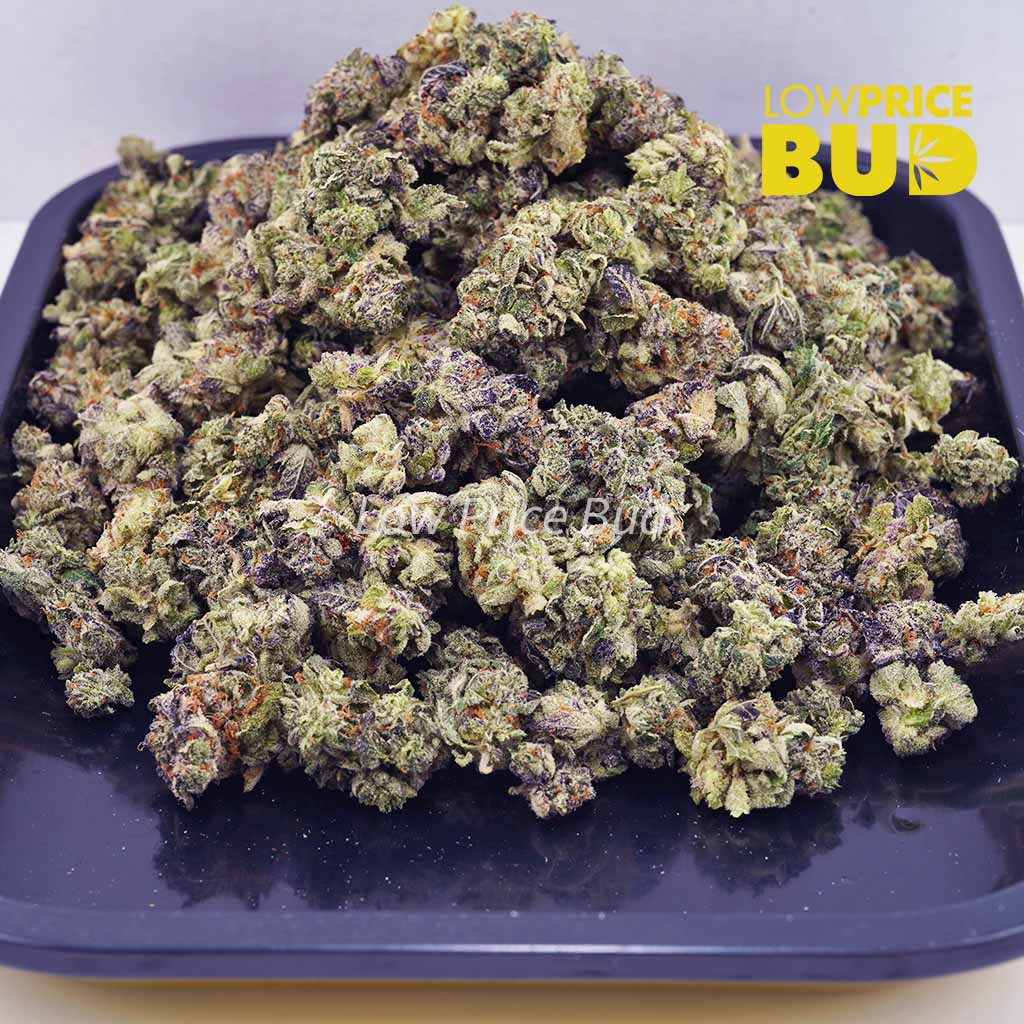Truffle Butter (AAAA) – Popcorn Nugs Buy Truffle Butter (AAAA) – Popcorn Nugs online Canada