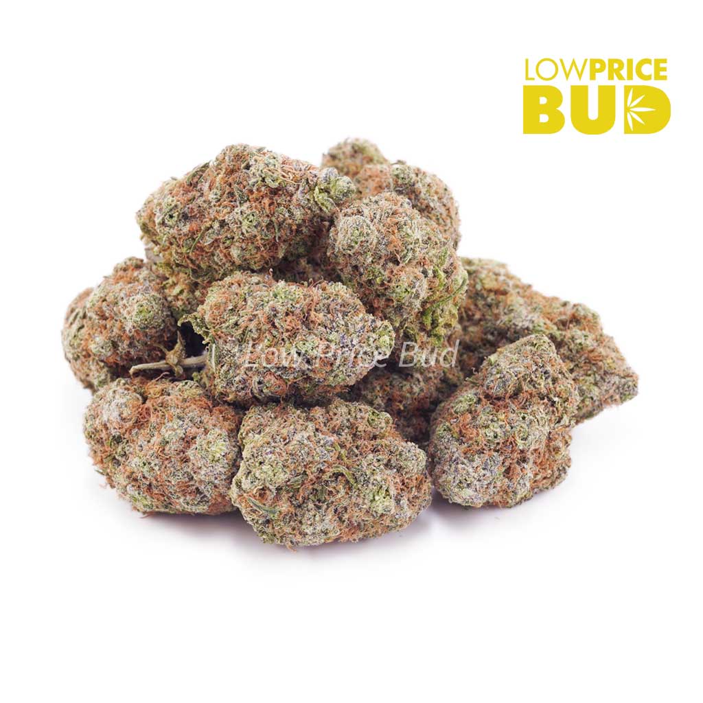 Cherry Haze (AAA) Buy Cherry Haze (AAA) online Canada