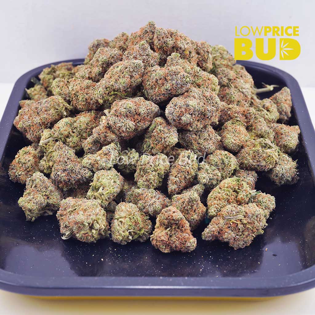 Cherry Haze (AAA) Buy Cherry Haze (AAA) online Canada