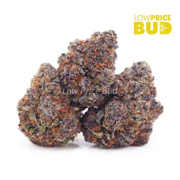 Orange Creamsicle (Craft Cannabis) Low Price Bud