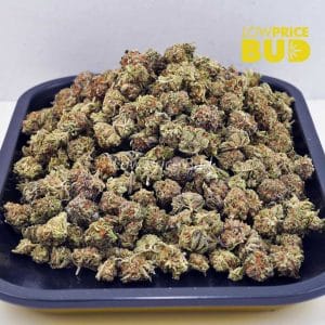 Strawberry Gelato (AAAA) – Popcorn Nugs Buy Strawberry Gelato (AAAA) – Popcorn Nugs online Canada