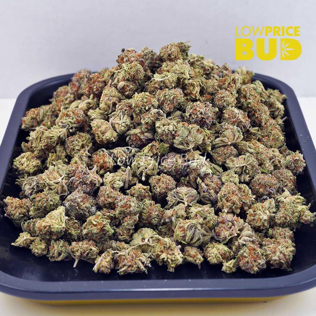 Strawberry Gelato (AAAA) – Popcorn Nugs Buy Strawberry Gelato (AAAA) – Popcorn Nugs online Canada