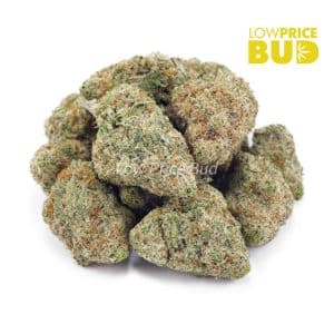 Banana Punch (AAA) Buy Banana Punch (AAA) online Canada