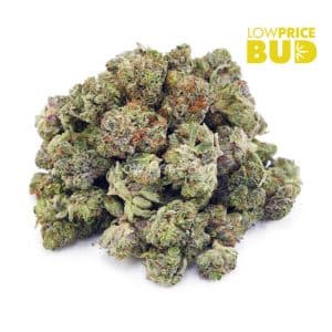 Buy Juicy Fruit (AAAA) – Popcorn Nugs online Canada