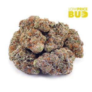 Buy White Tahoe Cookies (AAA) online Canada