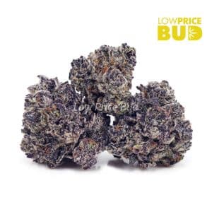 Budzilla (Craft Cannabis) Buy Budzilla (Craft Cannabis) online Canada