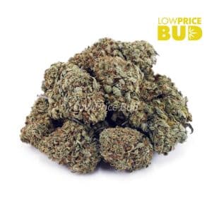 Banana Punch (AAA) Buy Banana Punch (AAA) online Canada