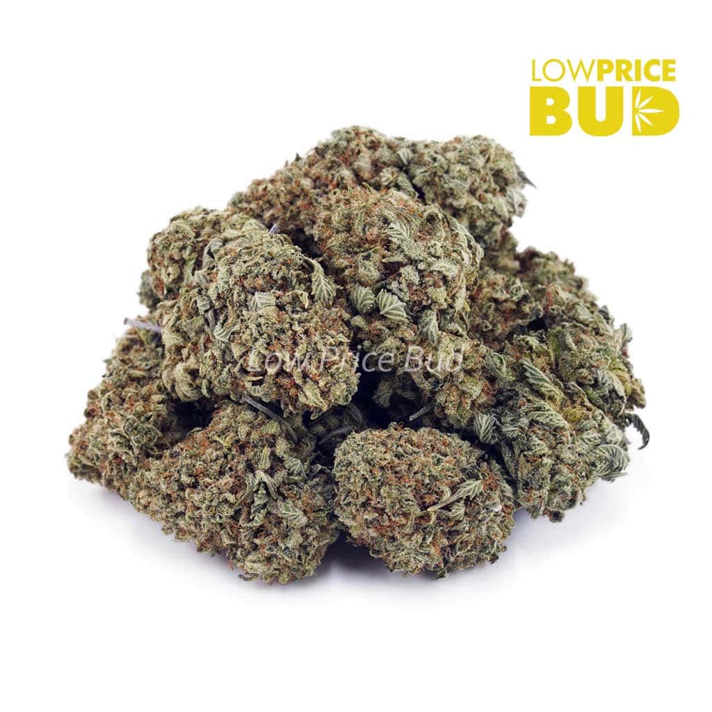 Banana Punch (AAA) Buy Banana Punch (AAA) online Canada