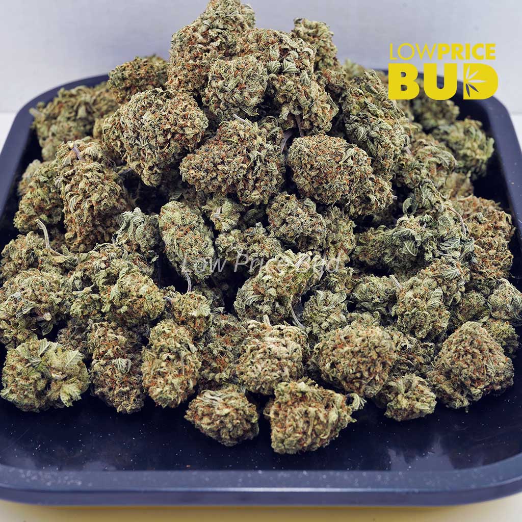 Banana Punch (AAA) Buy Banana Punch (AAA) online Canada