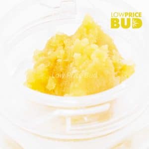 Caviar – Incredible Hulk Buy Caviar – Incredible Hulk online Canada