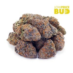 Buy Acapulco Gold (AAA) online Canada