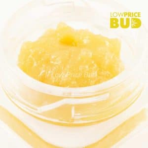 Buy Caviar – Galactic Gas online Canada