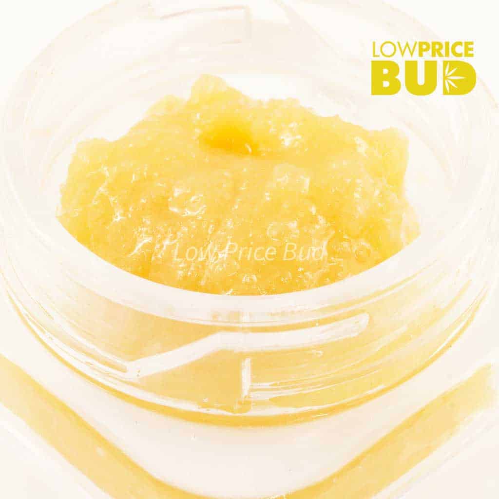 Caviar – Galactic Gas Buy Caviar – Galactic Gas online Canada